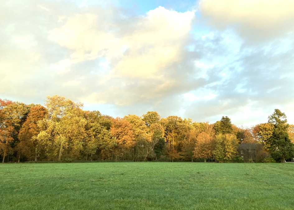 Autogenes Training in der Natur beim Kneipp-Verein